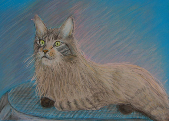 Katze 2008